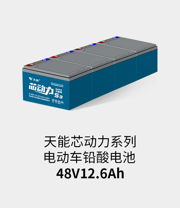金年会体育官网入口电池48v12ah