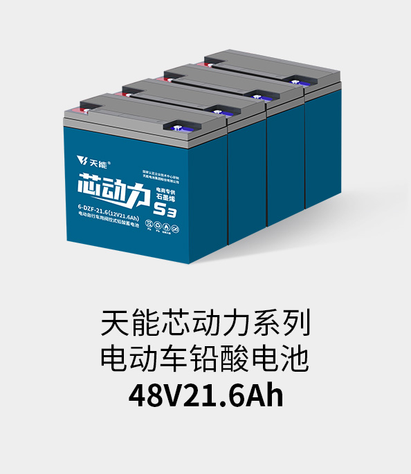 金年会体育官网入口电池48v20ah