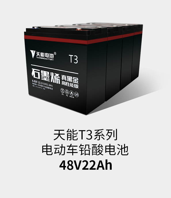 金年会体育官网入口T3系列48v22ah