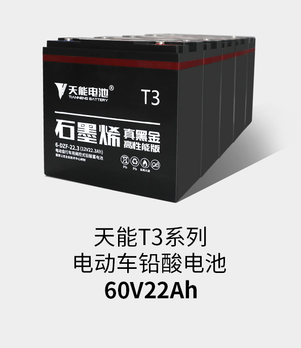金年会体育官网入口T3系列60v22ah